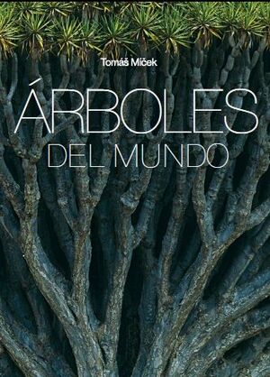 ÁRBOLES DEL MUNDO
