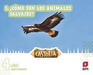 ÁREAS INTEGRADAS. 2 INFANTIL. TERCER TRIMESTRE. CASTORIA