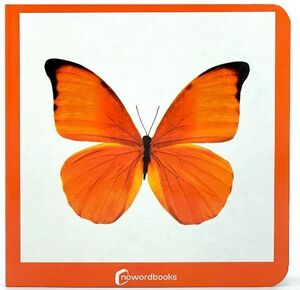 NARANJA 43