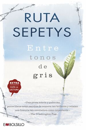 ENTRE TONOS DE GRIS