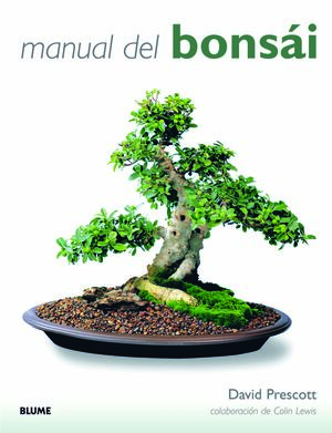 MANUAL DEL BONS I