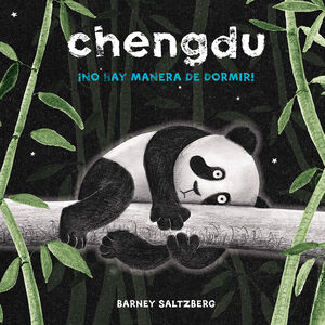 CHENGDU - ¡NO HAY MANERA DE DORMIR!