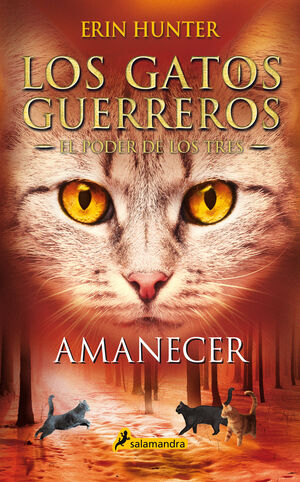 6.AMANECER.(GATOS GUERREROS/PODER DE LOS TRES)