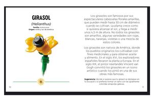 FLORES SILVESTRES