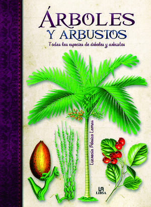 ARBOLES Y ARBUSTOS