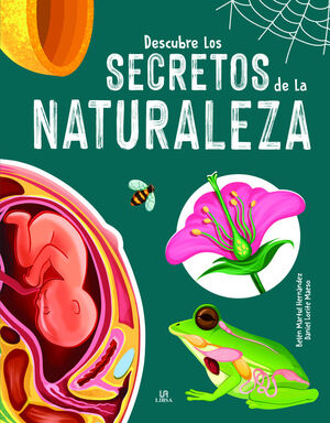 DESCUBRE LOS SECRETOS DE LA NATURALEZA (RAYOS X)