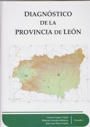 DIAGNÓSTICO DE LA PROVINCIA DE LEÓN