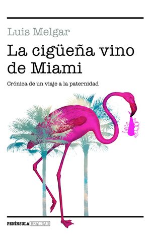 LA CIGEÑA VINO DE MIAMI
