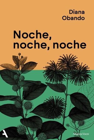 NOCHE, NOCHE, NOCHE