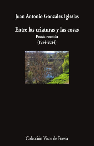ENTRE LAS CRIATURAS Y LAS COSAS